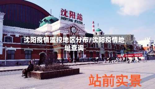 沈阳疫情监控地区分布/沈阳疫情地址查询-第2张图片