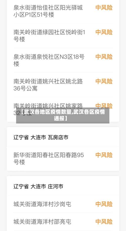 【武汉各地区疫情数量,武汉各区疫情通报】-第1张图片