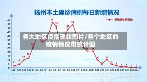 各大地区疫情现状图片/各个地区的疫情情况带统计图-第1张图片