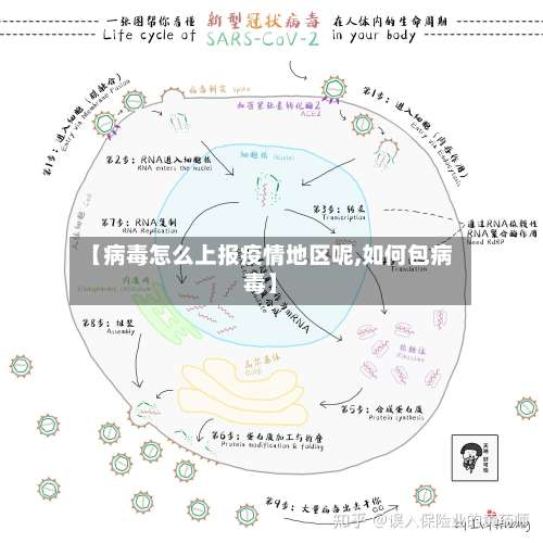 【病毒怎么上报疫情地区呢,如何包病毒】-第3张图片