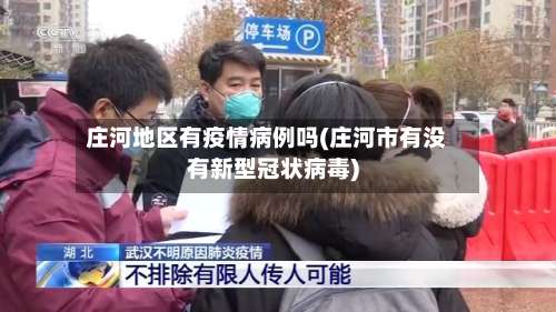 庄河地区有疫情病例吗(庄河市有没有新型冠状病毒)-第3张图片