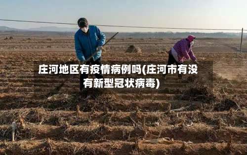 庄河地区有疫情病例吗(庄河市有没有新型冠状病毒)-第2张图片