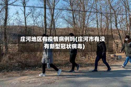 庄河地区有疫情病例吗(庄河市有没有新型冠状病毒)-第1张图片