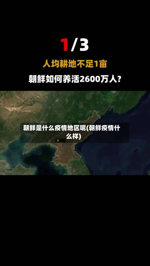 朝鲜是什么疫情地区呢(朝鲜疫情什么样)-第2张图片