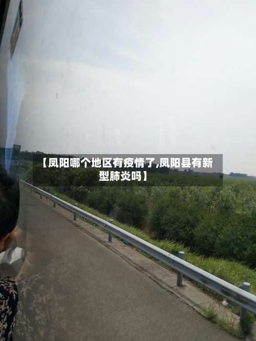 【凤阳哪个地区有疫情了,凤阳县有新型肺炎吗】-第2张图片