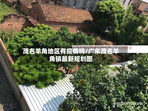 茂名羊角地区有疫情吗/广东茂名羊角镇最新规划图-第2张图片
