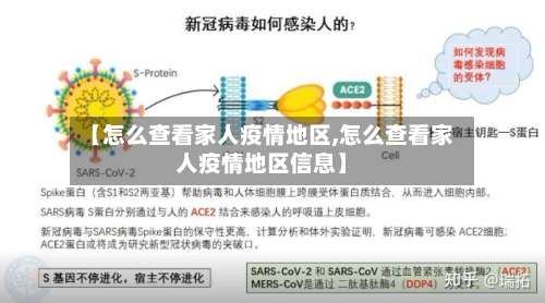 【怎么查看家人疫情地区,怎么查看家人疫情地区信息】-第1张图片