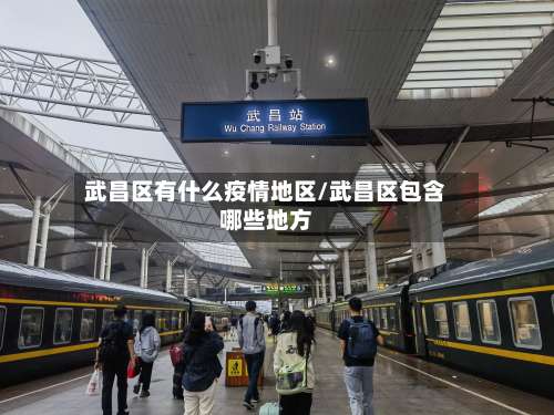 武昌区有什么疫情地区/武昌区包含哪些地方-第1张图片