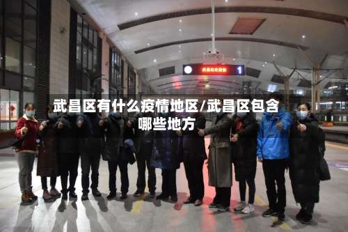 武昌区有什么疫情地区/武昌区包含哪些地方-第2张图片