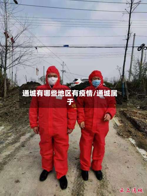 通城有哪些地区有疫情/通城属于-第1张图片