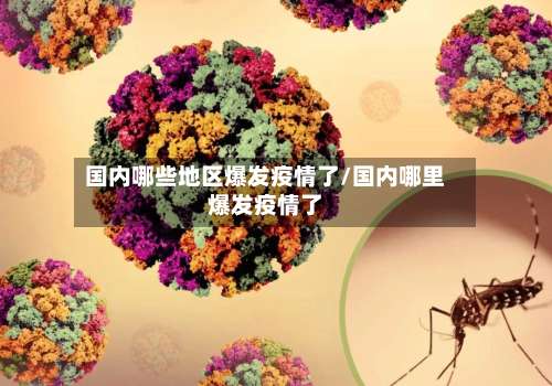 国内哪些地区爆发疫情了/国内哪里爆发疫情了-第1张图片