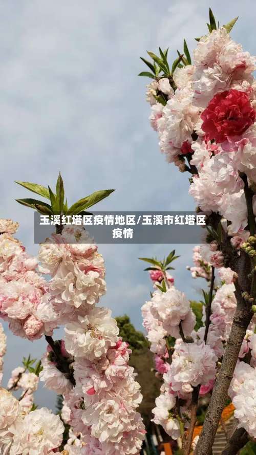 玉溪红塔区疫情地区/玉溪市红塔区疫情-第1张图片