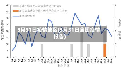 5月31日疫情地区(5月31日全国疫情报告)-第2张图片
