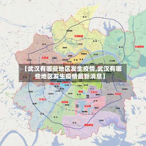 【武汉有哪些地区发生疫情,武汉有哪些地区发生疫情最新消息】-第1张图片