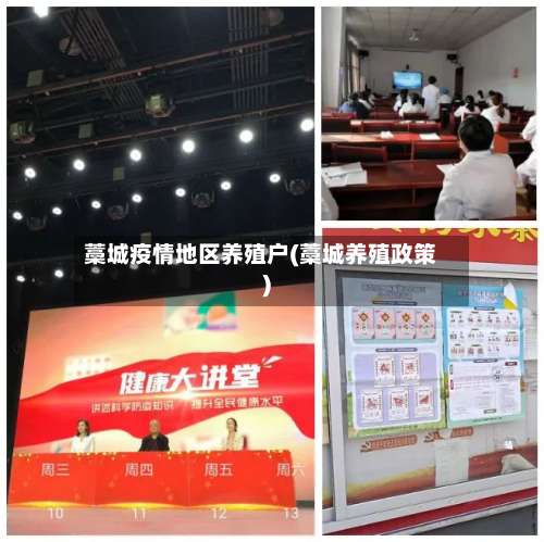 藁城疫情地区养殖户(藁城养殖政策)-第1张图片