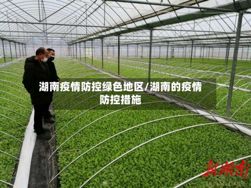 湖南疫情防控绿色地区/湖南的疫情防控措施-第2张图片