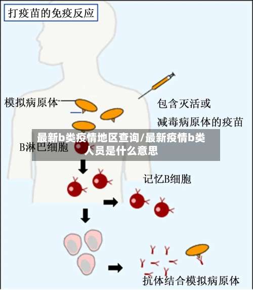 最新b类疫情地区查询/最新疫情b类人员是什么意思-第1张图片