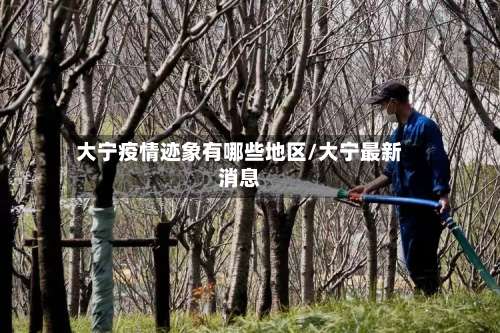 大宁疫情迹象有哪些地区/大宁最新消息-第3张图片