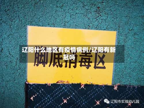 辽阳什么地区有疫情病例/辽阳有新冠吗-第2张图片