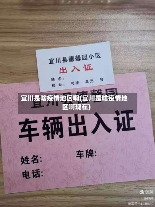 宜川是啥疫情地区啊(宜川是啥疫情地区啊现在)-第2张图片