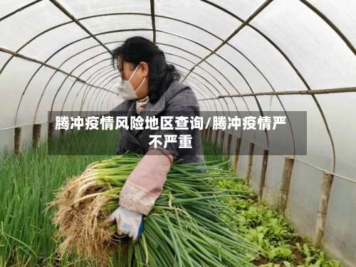 腾冲疫情风险地区查询/腾冲疫情严不严重-第1张图片