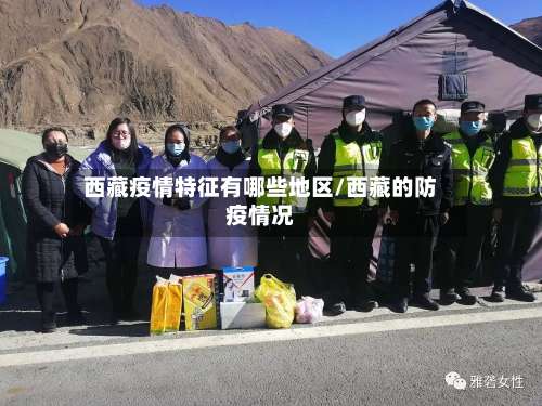 西藏疫情特征有哪些地区/西藏的防疫情况-第3张图片