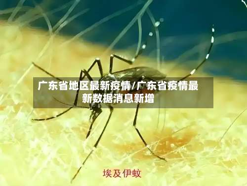 广东省地区最新疫情/广东省疫情最新数据消息新增-第3张图片