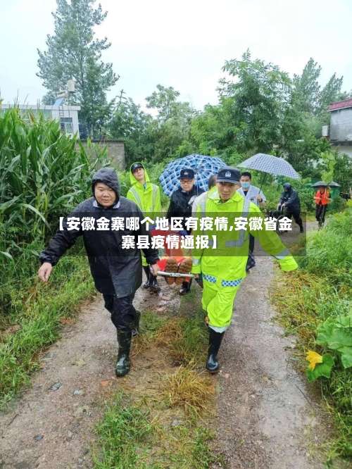 【安徽金寨哪个地区有疫情,安徽省金寨县疫情通报】-第3张图片