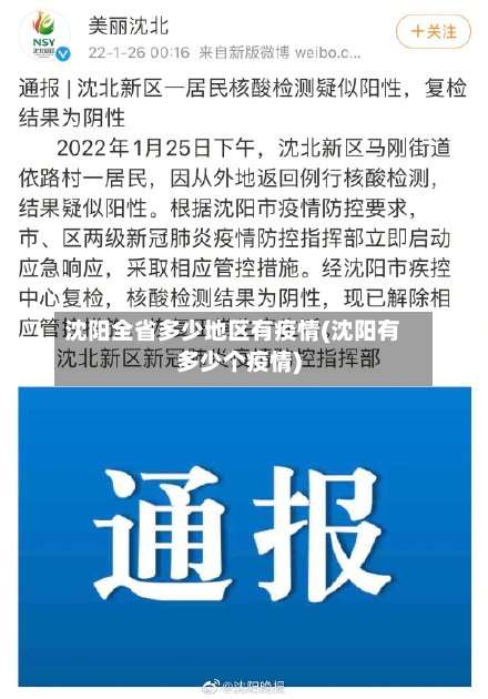 沈阳全省多少地区有疫情(沈阳有多少个疫情)-第1张图片