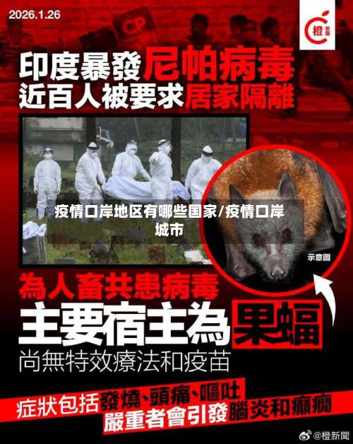 疫情口岸地区有哪些国家/疫情口岸城市-第1张图片