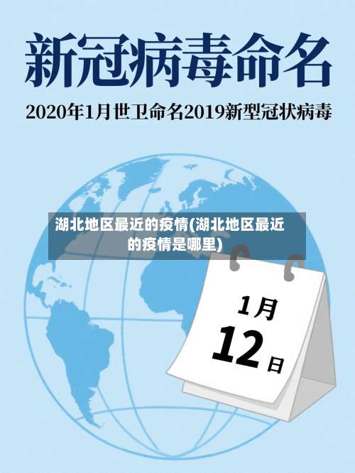 湖北地区最近的疫情(湖北地区最近的疫情是哪里)-第2张图片