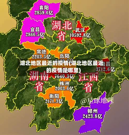 湖北地区最近的疫情(湖北地区最近的疫情是哪里)-第3张图片