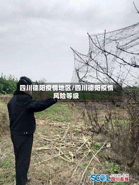 四川德阳疫情地区/四川德阳疫情风险等级-第1张图片