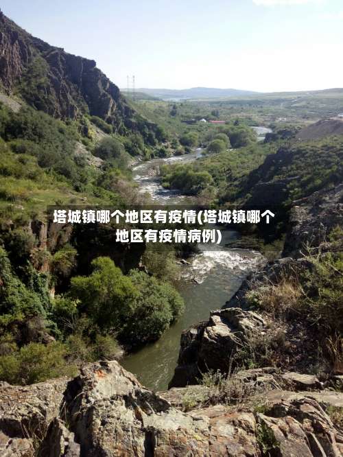 塔城镇哪个地区有疫情(塔城镇哪个地区有疫情病例)-第1张图片