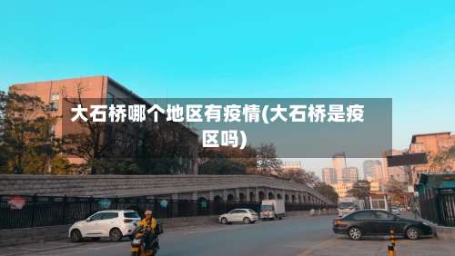 大石桥哪个地区有疫情(大石桥是疫区吗)-第2张图片