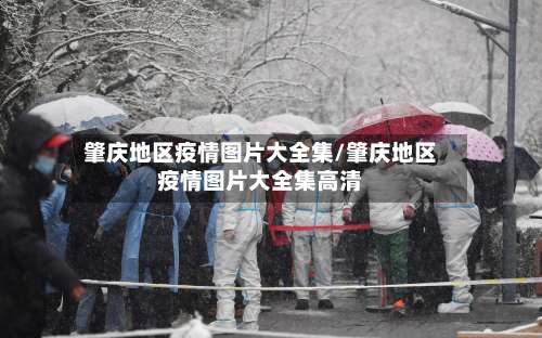 肇庆地区疫情图片大全集/肇庆地区疫情图片大全集高清-第1张图片