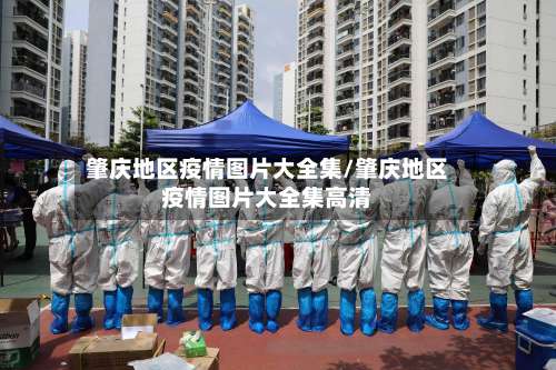 肇庆地区疫情图片大全集/肇庆地区疫情图片大全集高清-第2张图片