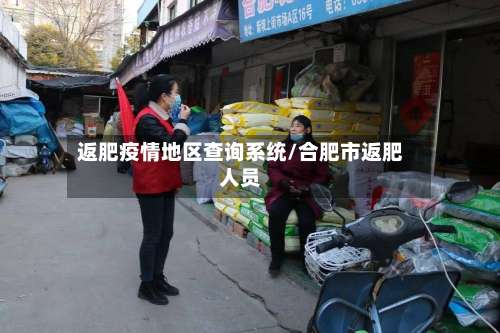 返肥疫情地区查询系统/合肥市返肥人员-第1张图片